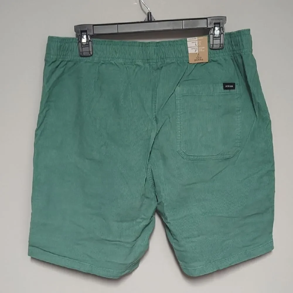 Prana Teal Shorts